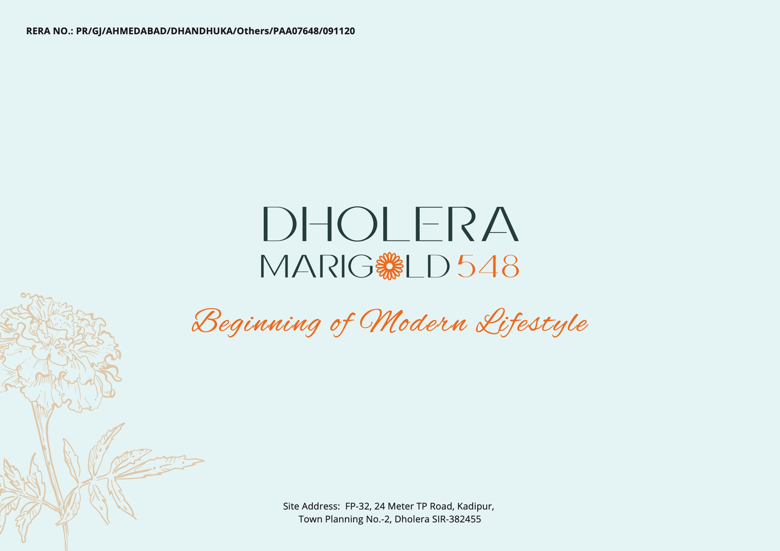 Dholera Marigold 548
